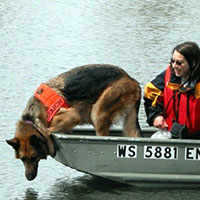 WI K9 SOS Image of Chiron