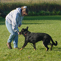 WI K9 SOS Image of Mary