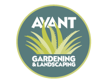 Avant Gardening & Landscaping