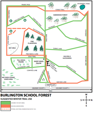 Burlington School Forest