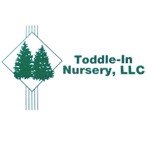 Toddle-Inn Nursery